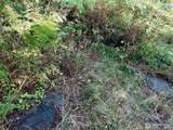 0 Lot 7 Buck Drive - Photo 11
