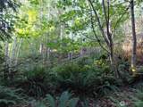0 Lot 7 Buck Drive - Photo 14