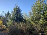 0 Lot 7 Buck Drive - Photo 18
