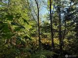 0 Lot 7 Buck Drive - Photo 20