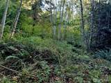 0 Lot 7 Buck Drive - Photo 8