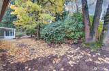 10216 15th Street - Photo 33