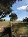 33880 Territory Road - Photo 1