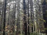0 Pleasant Valley Road - Photo 4