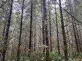 0 Pleasant Valley Road - Photo 6