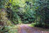 157 Chuckanut Crest Drive - Photo 12