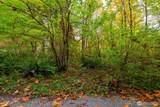 0 Index Creek Road - Photo 11