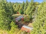 9907 Blomberg Street - Photo 36