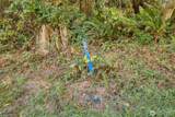 0 Skunk Bay Road - Photo 8