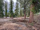 2009 Nisqually Street - Photo 4
