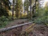 358 XX Moss Lake Road - Photo 13