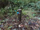 358 XX Moss Lake Road - Photo 14