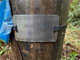 358 XX Moss Lake Road - Photo 15