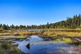 358 XX Moss Lake Road - Photo 25