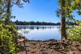 358 XX Moss Lake Road - Photo 28