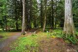 10433 Mount Baker Highway - Photo 23