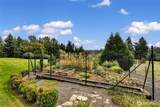 3901 150th Circle - Photo 37