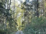 0 Forest View Lane - Photo 1
