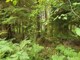 0 Lund Road - Photo 4