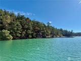 0 Lot 25 Henry Island - Photo 4