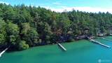0 Lot 25 Henry Island - Photo 8