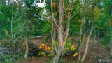 0 Lot 12 Camano Drive - Photo 6