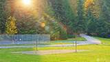 45303 Tillicum Trail - Photo 13
