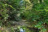 7 Lost Lake Lane - Photo 28