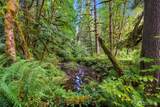 0 Cedar Creek Road - Photo 11