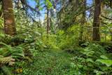 0 Cedar Creek Road - Photo 29