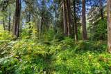 0 Cedar Creek Road - Photo 8