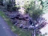 11939 New Morning Drive - Photo 25