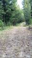 0 XXX Turner Lake Road - Photo 12