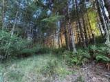 0 NKA Frank Smith Road - Photo 15