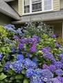 13620 317th Avenue - Photo 40