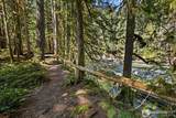 10500 Mt Baker Hwy - Photo 32