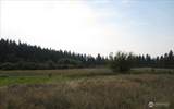 0 NKA Orchard Bluff Road - Photo 29