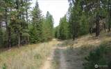 0 NKA Orchard Bluff Road - Photo 35