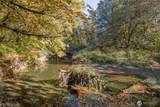2095 Bear Creek Road - Photo 25