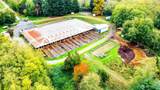 4798 Stable Lane - Photo 13
