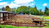 4798 Stable Lane - Photo 14