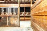 4798 Stable Lane - Photo 28