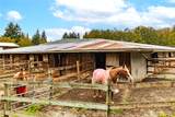 4798 Stable Lane - Photo 35