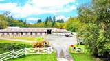 4798 Stable Lane - Photo 9