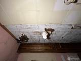 109 Laurel Street - Photo 10