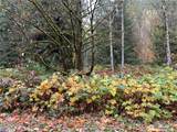 54165 Steelhead Landing Road - Photo 2