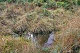 62653 62653 - Photo 21