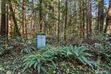 0 Lot 35 Bay Lane - Photo 7