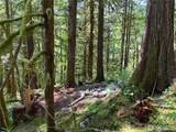 64308 Cascade River Road - Photo 6