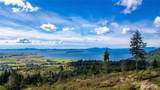 3140 Blanchard Knob Trail - Photo 11